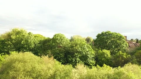 Row of trees and pond in park, nature close to houses in town neighbourhood Video stock 155822068