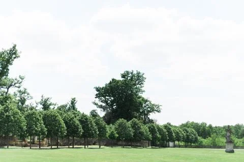 Row of Trees and a Statue Stock Photos