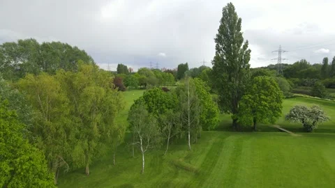 Row of trees dividing golf course into individual parts Stock Footage 155800262