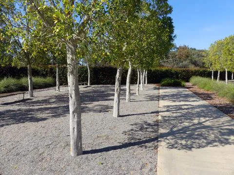 The row of trees at the gardens Stock Photos