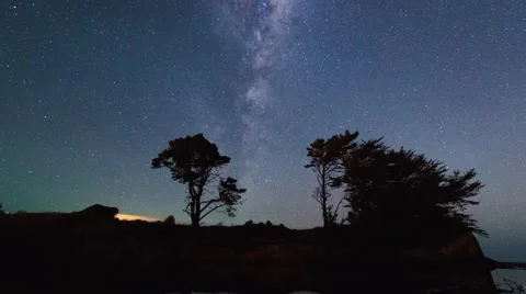 Row of trees silhouetted against rotating Milky Way Galaxy, Timelapse Zoom Out Video stock 50049955