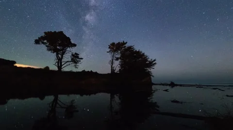 Row of trees silhouetted against rotating Milky Way Galaxy, Timelapse Pan Left Video stock 50050188
