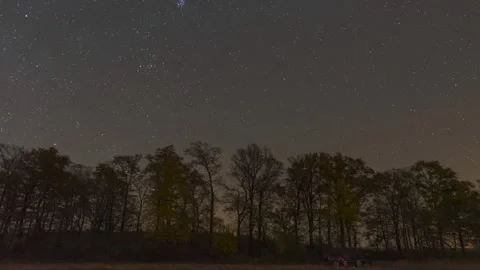A row of trees stands against the dark night sky as stars move above Stock Footage 303848611