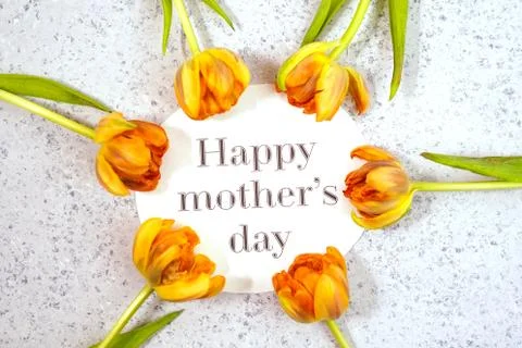 Row of tulips on coloful background with space for message. Mother's Day Stock Photos