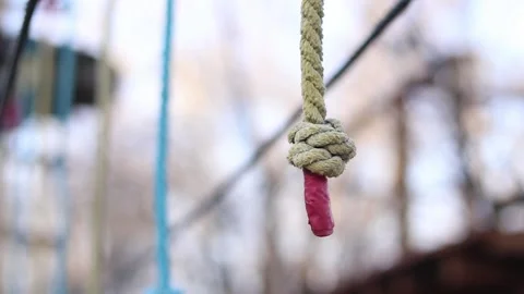 A row of vertically hanging strong ropes with securely tied knots at the ends Video stock 331501868