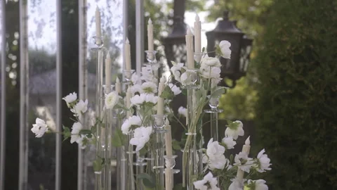 Row of white flowers in vases on table near window Vidéo 265575974