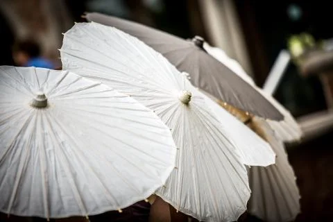 Row of White Parasols Stock Photos