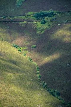 A row of willows indicates the presence of a stream Stock Photos