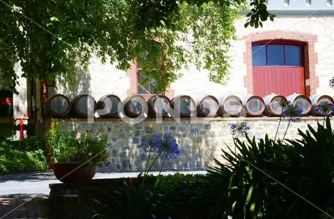 Row of wine barrels in cottage style winery gardens. Stock Photos