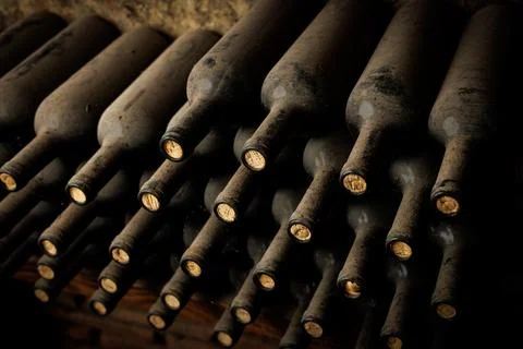 A row of wine bottles with corks in them Stock Photos