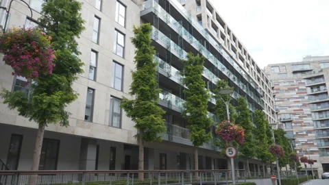 A row of young trees and apartment buildings. Stock Footage 114983718