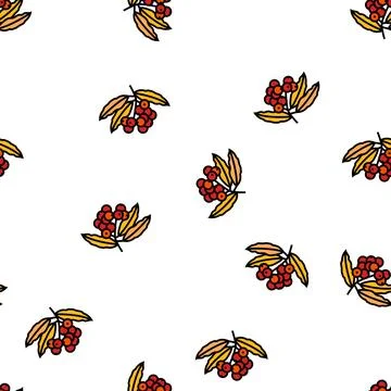 Rowan autumn vector seamless pattern 库存插图