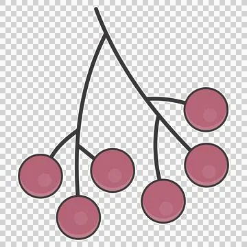 Rowan berry cluster on a twig Stock Illustration