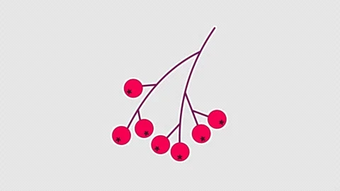Rowan berry Stock Footage 336665164
