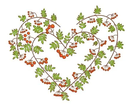 Rowan-berry in heart shape. Branches with leaves and orange berries. Autumn l Stock Illustration