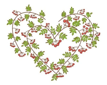 Rowan-berry in heart shape vector illustration. Branches with leaves and red  Stock Illustration