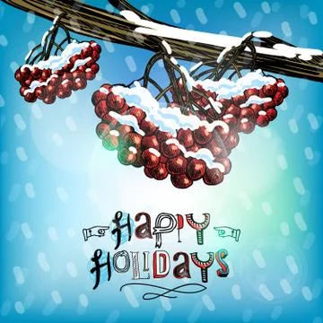 Rowan berry postcard Stock Illustration