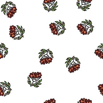 Rowan berry vector seamless pattern イラスト素材