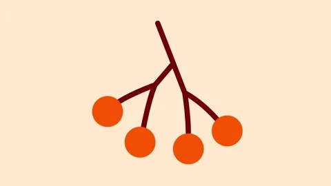 Rowan branch animation showing four orange berries on dark stem Stock-Footage 320286804