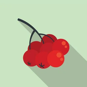Rowan branch berries icon, flat style Stock Illustration