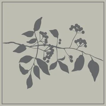 Rowan branch Stock Illustration