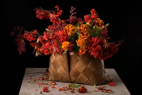 Rowan branches in the basket Stock Photos
