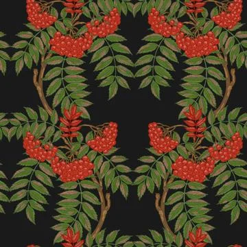 Rowan branches seamless pattern. Vintage illustration, hand-drawn in a sketch Illustrazione stock