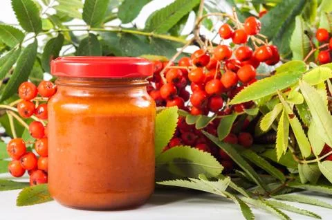Rowan bunch with jam Stock Photos