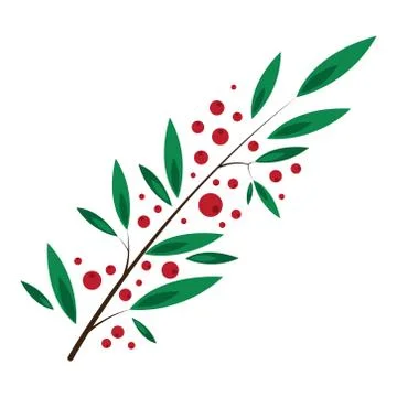 Rowan bunch of red berries red ripe leaf tree autumn season natural fruit vec Stock Illustration
