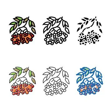 Rowan designs berry color icon vector Stock Illustration