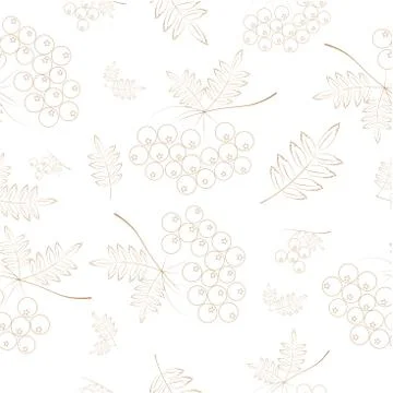 Rowan Stock Illustration