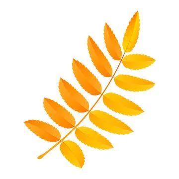 Rowan leaf icon, flat style Stock Illustration