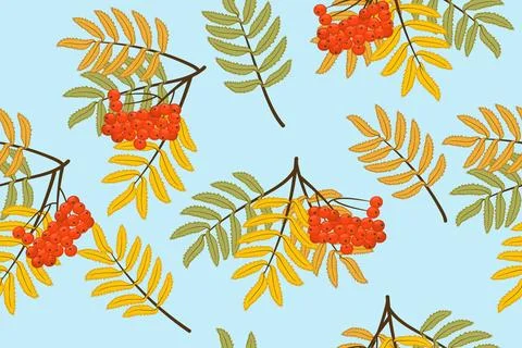 Rowan leaves and berries pattern Stock Illustration