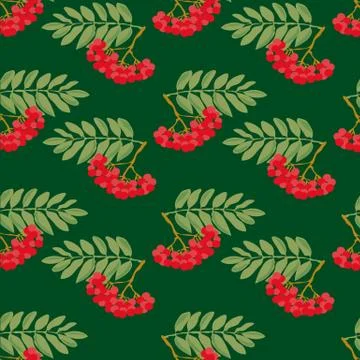 Rowan pattern Stock-Illustration