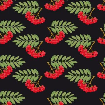 Rowan pattern Stock Illustration