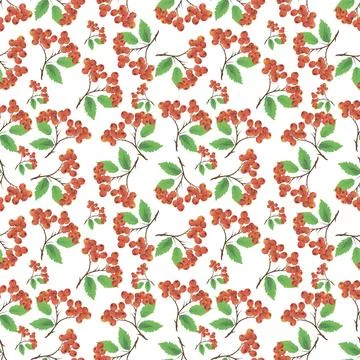 Rowan Pattern Yellow Stock Illustration