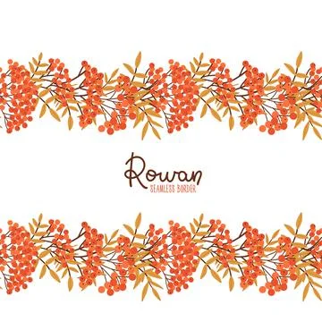 Rowan seamless border. Leaf fall pattern. Flat Vector illustration of botanical Stock Illustration