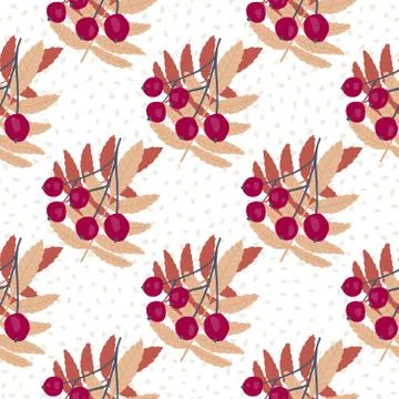 Rowan seamless pattern on dots background. Floral backdrop. 스톡 일러스트