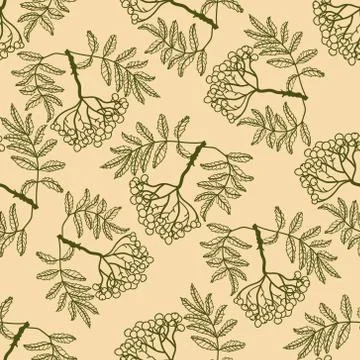 Rowan seamless pattern Stock Illustration
