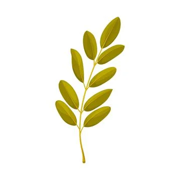 Rowan tree leaf cartoon isolated vector icon. Illustrazione stock