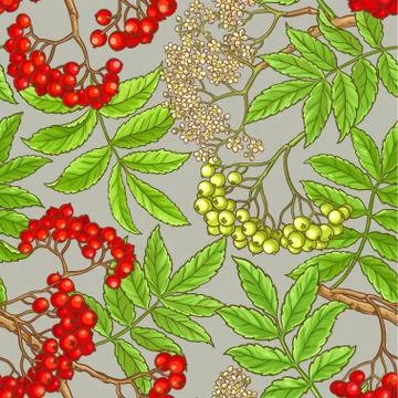 Rowan vector pattern Stock Illustration