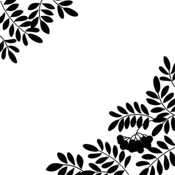 Rowanberry background, silhouette Stock Illustration