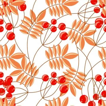 Rowanberry branch seamless pattern. Vector background Stock Illustration