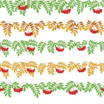 Rowanberry, seamless Stock Illustration