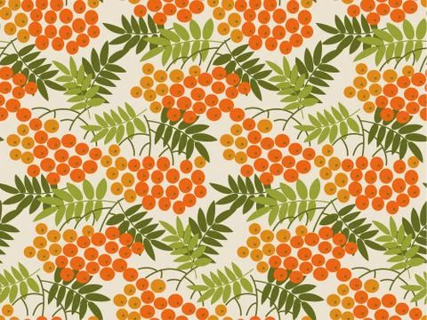 Rowanberry vector seamless pattern Stock Illustration