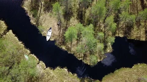 Rowboat by small winding river at bog with pine trees Stock Footage 152983086