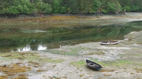Rowboats on Mud Flats Stock Footage 8511798