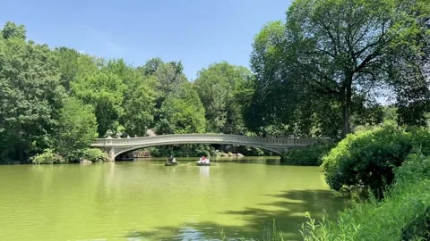 Rowboats passing under Bow Bridge in Central Park Stock Footage 313809578
