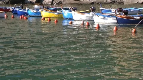 RowboatsInHarbor15.0 Stock Footage 90084568