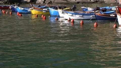 RowboatsInHarbor15.1 Stock Footage 90084577